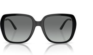 Michael Kors Women’s Mk2206 Albany Sunglasses