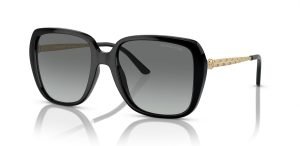 Michael Kors Women’s Mk2206 Albany Sunglasses
