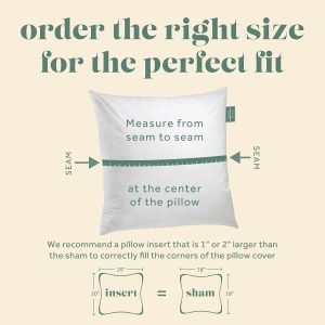ComfyDown Set of Two20X20 Decorative Throw Pillow Insert, Down and Feathers Fill, 100% Cotton Cover 233 Thread Count, Square Pillow Insert – Made in USA
