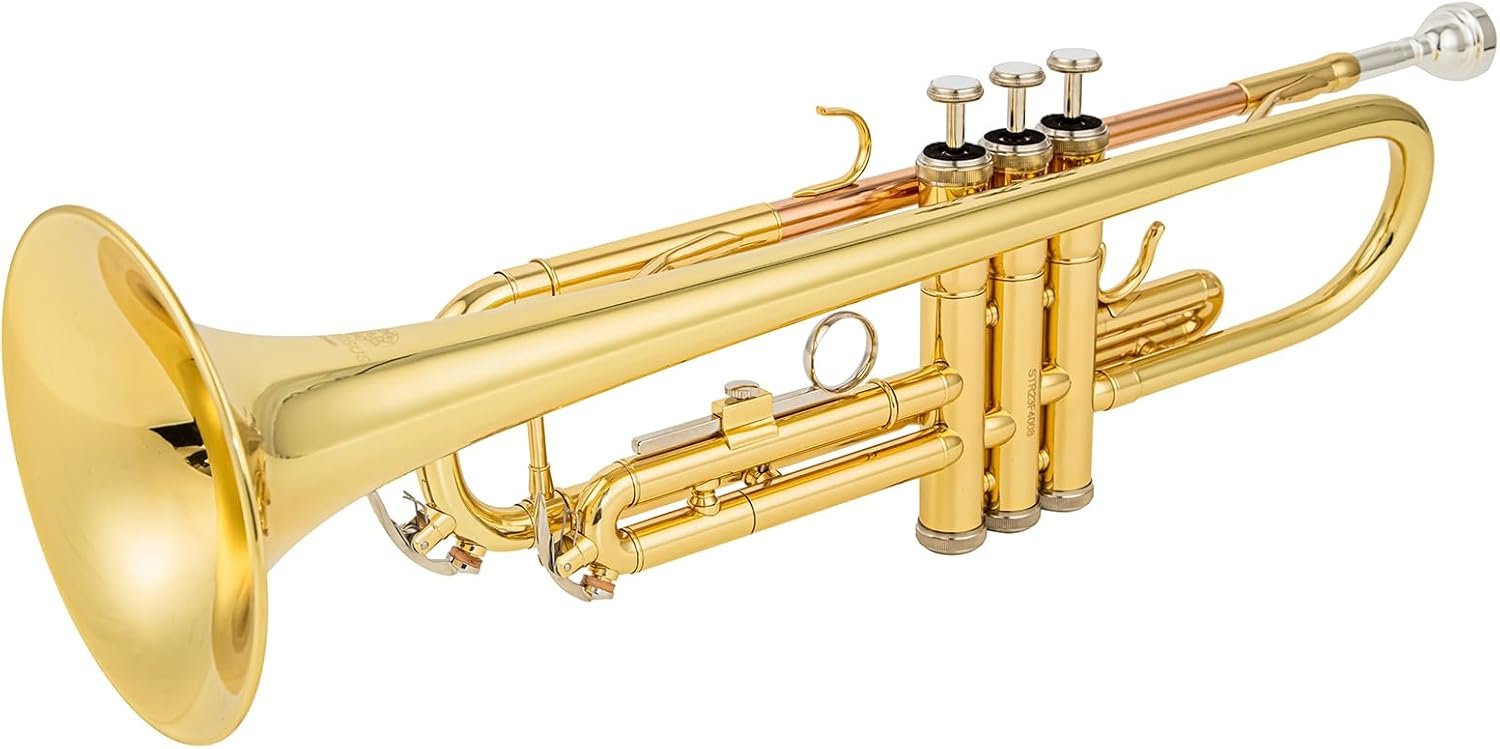 bb trumpet 6331 brass b flat trumpet for beginners and intermediate players copper leadpipe gold lacquer finish stainless steel valves phosphorus hard case and accessories included - Image 6