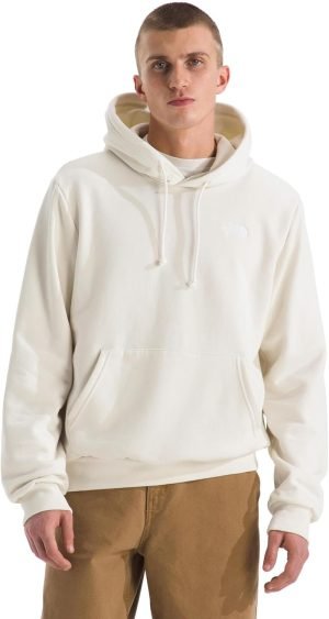 THE NORTH FACE mens Evolution Simple Dome Hoodie (Standard & Big Size)