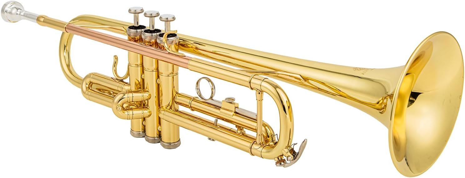 bb trumpet 6331 brass b flat trumpet for beginners and intermediate players copper leadpipe gold lacquer finish stainless steel valves phosphorus hard case and accessories included - Image 7