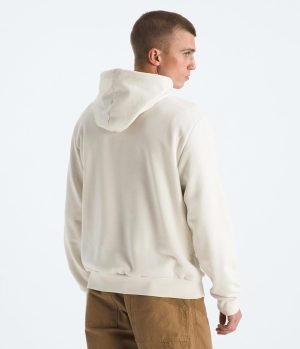 THE NORTH FACE mens Evolution Simple Dome Hoodie (Standard & Big Size)