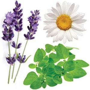 doTERRA Serenity Essential Oil Restful Blend – 15 ml