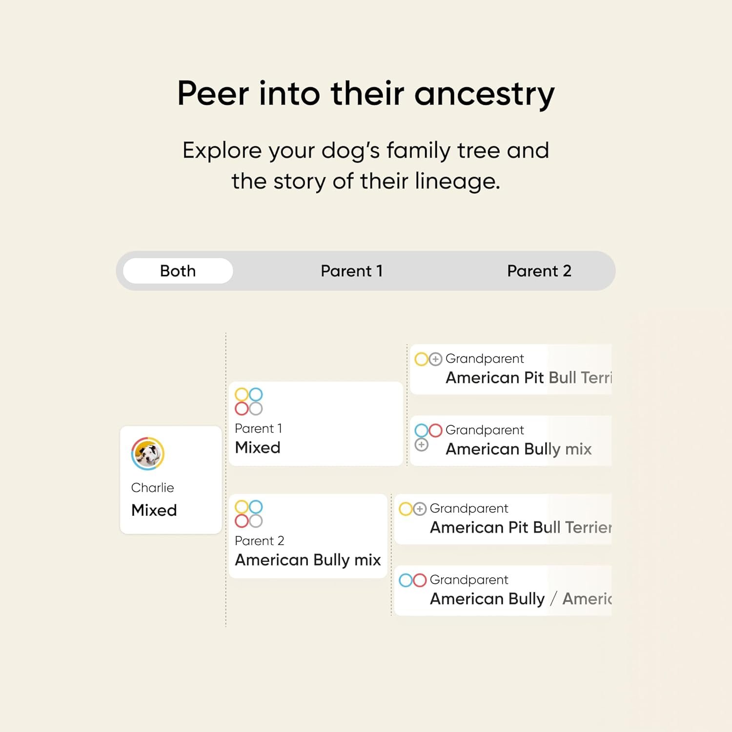 Embark Breed & Health Kit - Dog DNA Testing Kit - Discover Breed, Ancestry, Relative Finder, Genetic Health, Traits, Allergy Risk Scores - Image 6