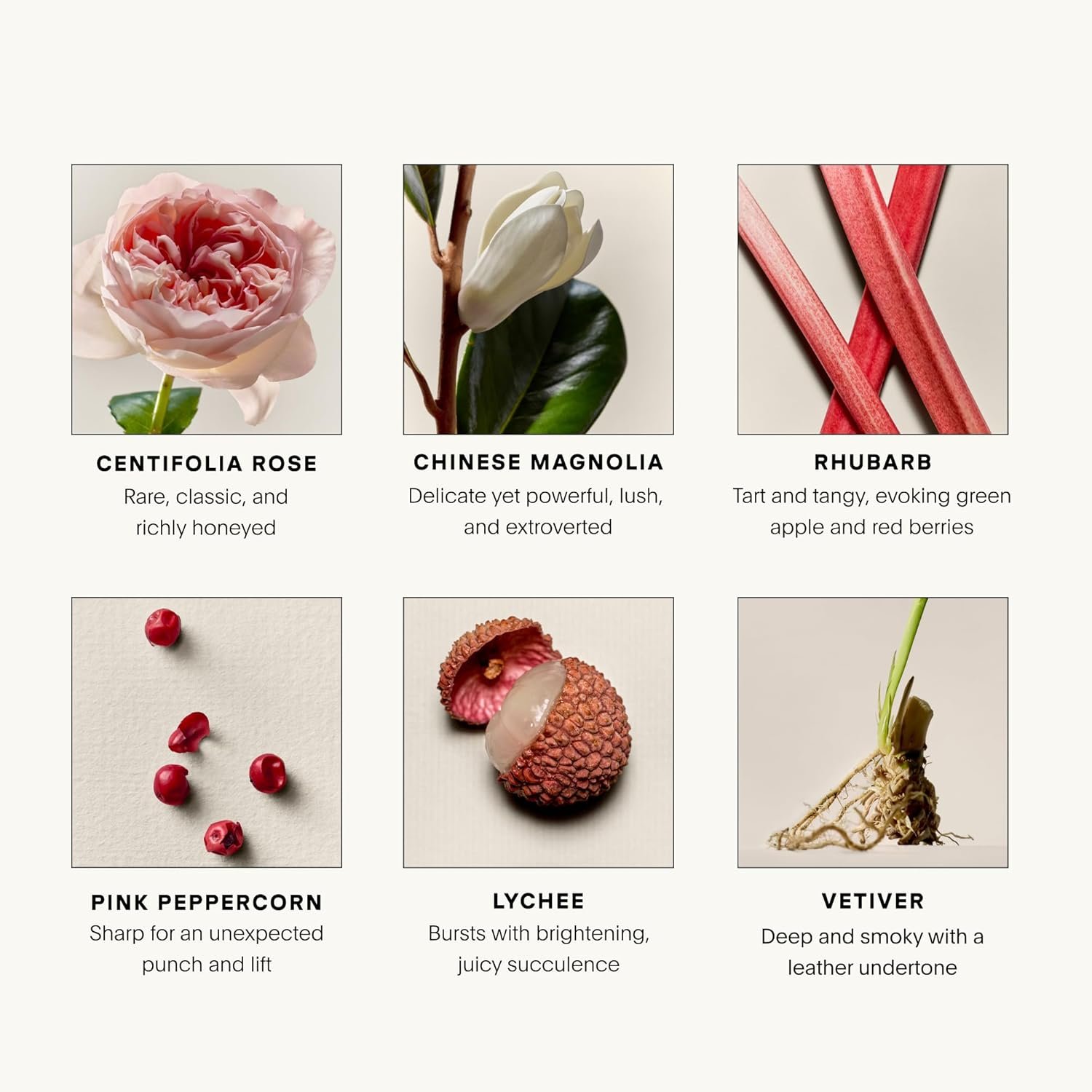 U Beauty The Fragrance Set – PROEM Eau de Parfum 50mL + 10mL Travel Spray | Bold Feminine Perfume with Floral, Fruity & Earthy Notes | Luxury Perfume Gift Set - Image 3