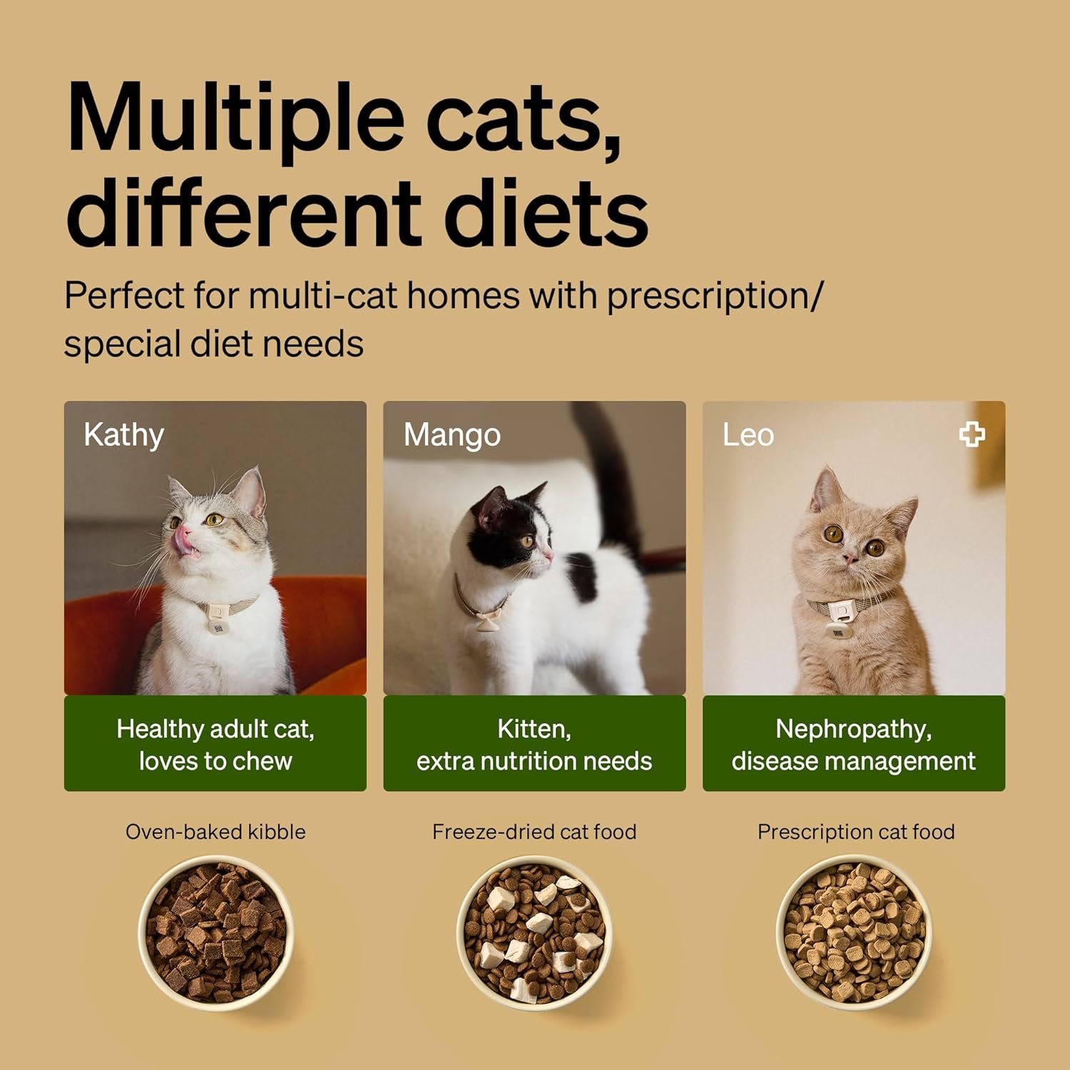 PETLIBRO RFID Automatic Cat Feeder, Collar Tag-Activated Personalized Meals, 5G&2.4G Wi-Fi Programmable Cat Food Dispenser with Cats Recognition & Diet Tracking for Multi-Pet Homes and Different Diets - Image 6