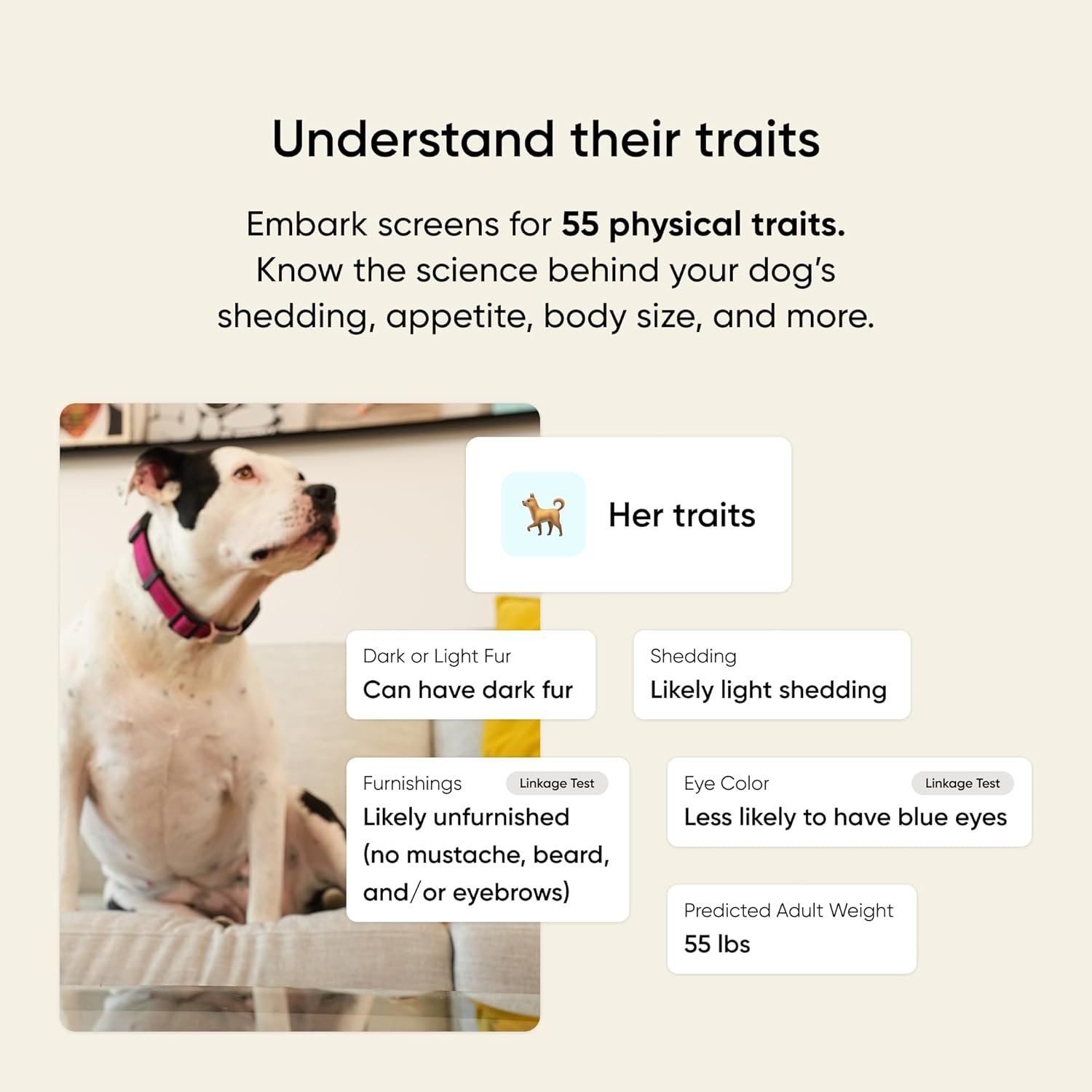 Embark Breed & Health Kit - Dog DNA Testing Kit - Discover Breed, Ancestry, Relative Finder, Genetic Health, Traits, Allergy Risk Scores - Image 4