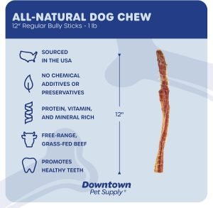 Downtown Pet Supply USA-Made 12-inch Bully Sticks for Dogs, 1 LB – No Hide Dog Chews Long Lasting and Non-Splintering – Nutrient-Rich, Single Ingredient and Odor Free Bully Sticks for Dogs