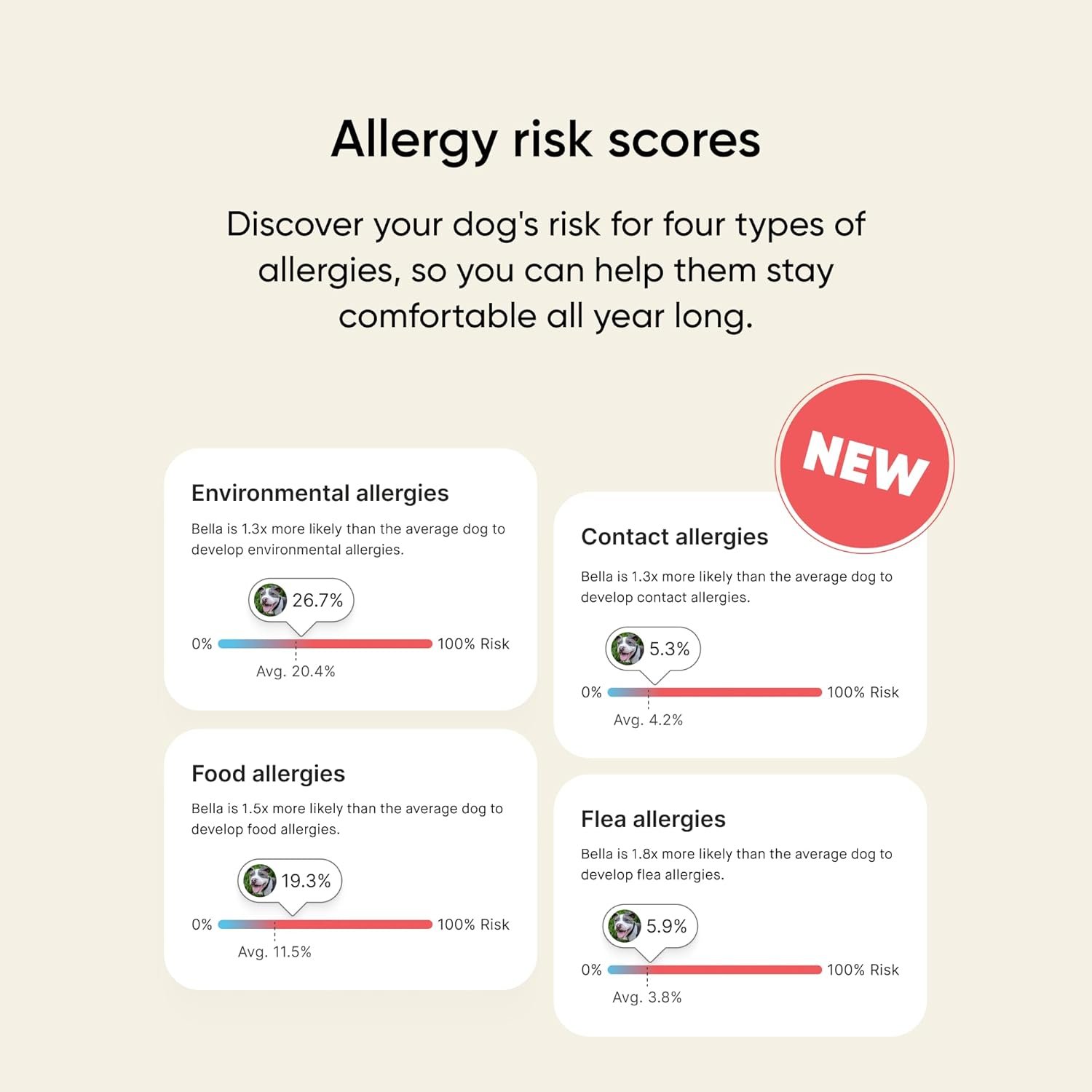 Embark Breed & Health Kit - Dog DNA Testing Kit - Discover Breed, Ancestry, Relative Finder, Genetic Health, Traits, Allergy Risk Scores - Image 7