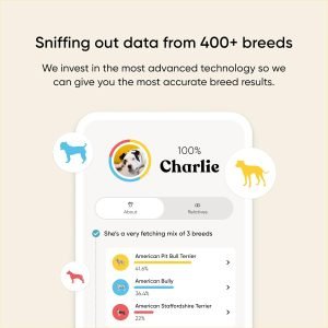 Embark Breed & Health Kit – Dog DNA Testing Kit – Discover Breed, Ancestry, Relative Finder, Genetic Health, Traits, Allergy Risk Scores