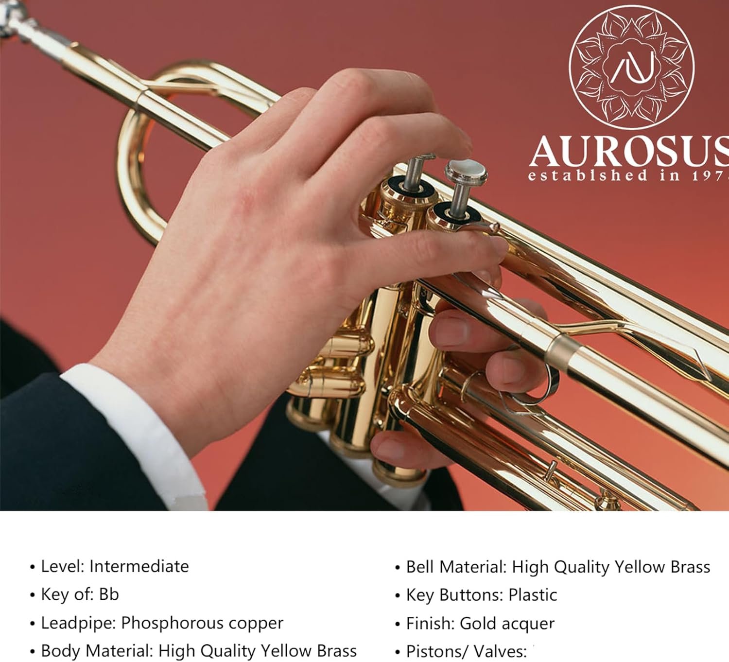 bb trumpet 6331 brass b flat trumpet for beginners and intermediate players copper leadpipe gold lacquer finish stainless steel valves phosphorus hard case and accessories included - Image 2