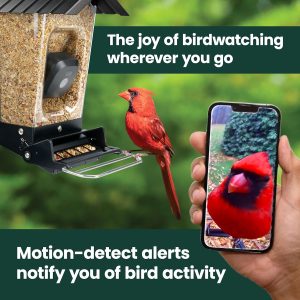 Perky-Pet Solar Powered Smart Bird Feeder with Camera – Squirrel-Resistant, 3.2L Capacity, Motion Activated 1080p HD WiFi Live Stream Camera, SPCAM, SPCAMSLR – Camera Feeder Gift Idea, Red