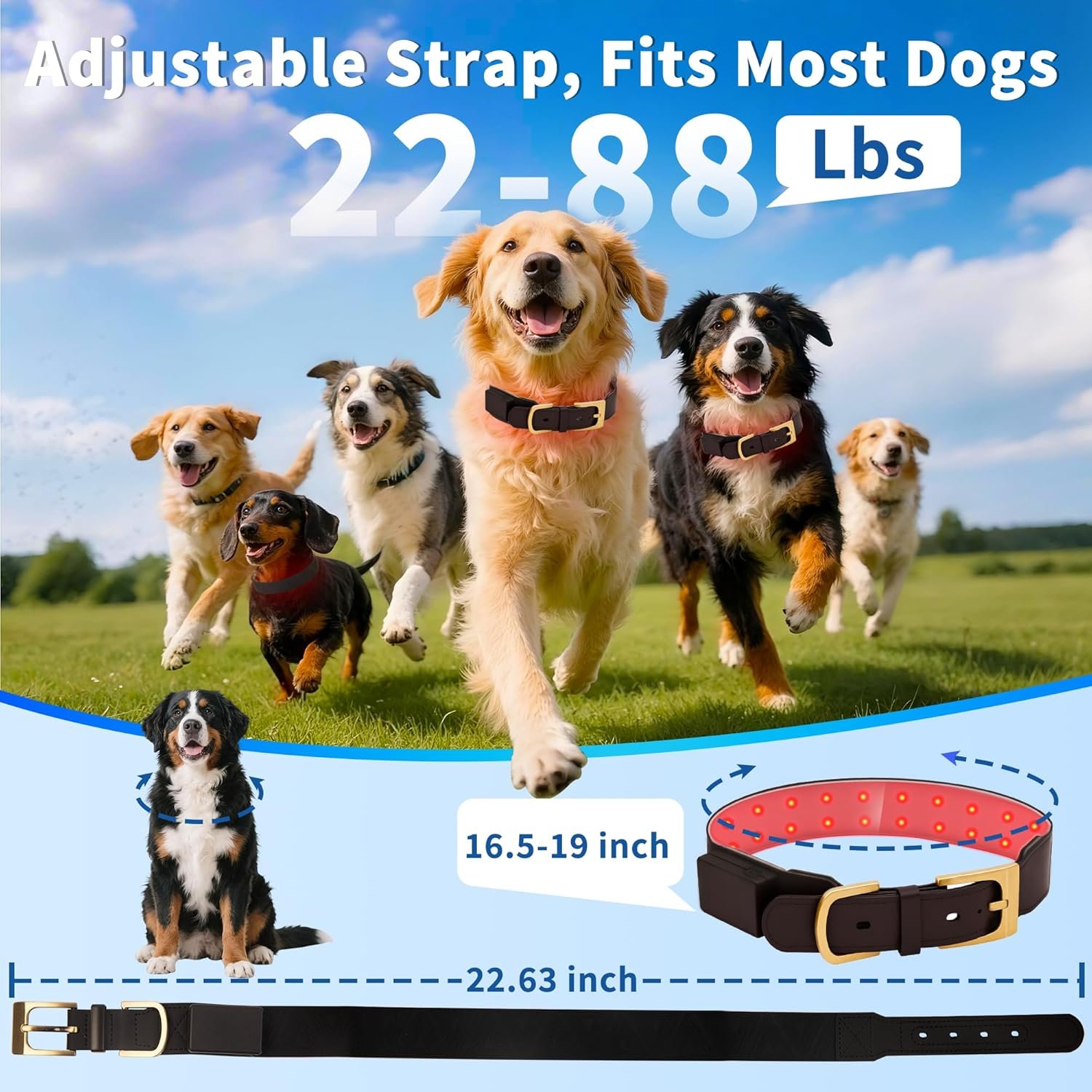 Red Light Therapy Collar for Dog, 660nm & 810nm & 980nm Infrared Red Light Vet Therapy Device for Pet, Cold Laser Therapy Device for Dog Tissue Repair, Pain Relief Arthritis, Promote Blood Circulation - Image 6