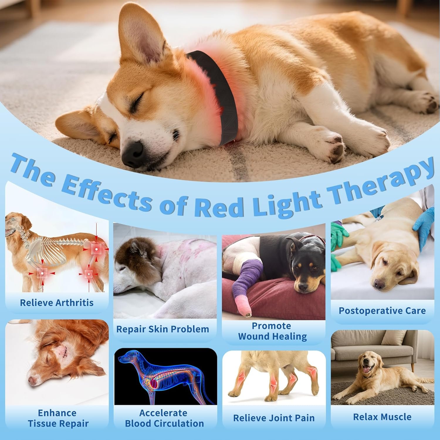 Red Light Therapy Collar for Dog, 660nm & 810nm & 980nm Infrared Red Light Vet Therapy Device for Pet, Cold Laser Therapy Device for Dog Tissue Repair, Pain Relief Arthritis, Promote Blood Circulation - Image 5