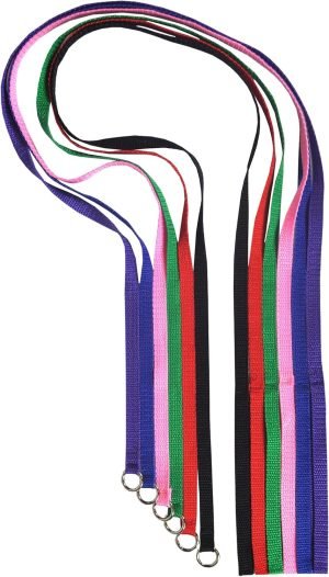 Downtown Pet Supply – 6ft Kennel Slip Lead Leash – Veterinarian, Grooming, Daycare & Animal Rescue Supplies – One Size for Dogs – 1″ Thick 120 Pack