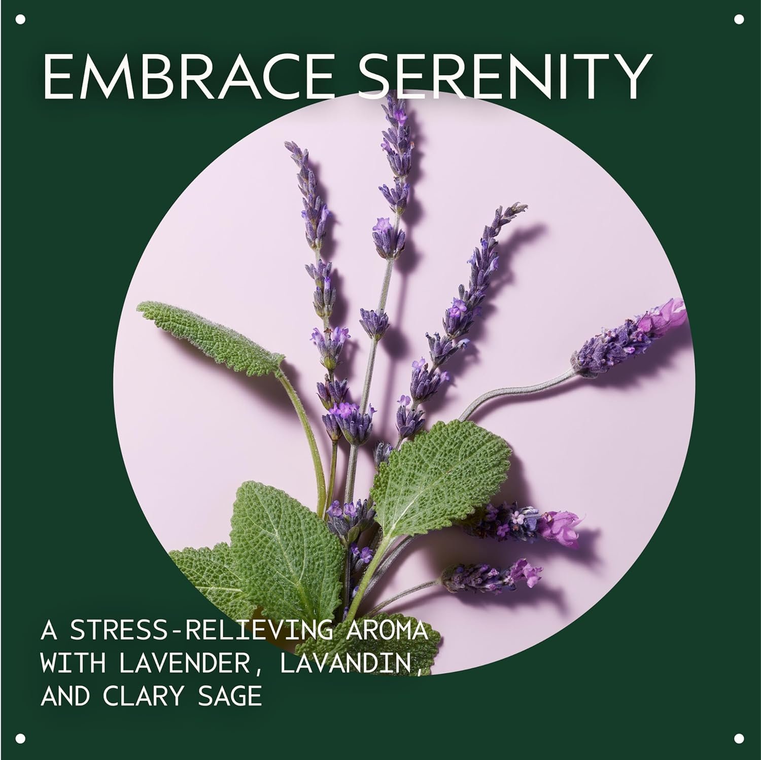 Aveda Stress-Fix Soaking Salts | Stress-Relieving Bath Salts | with Aroma of Lavender, Lavandin, Clary Sage, 16 Ounce - Image 3
