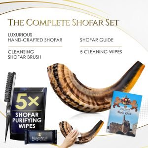Shofar Horn Instrument – RAM Shofar Angels Musical Instrument – Half Polished/Natural (18-20, Full Set)