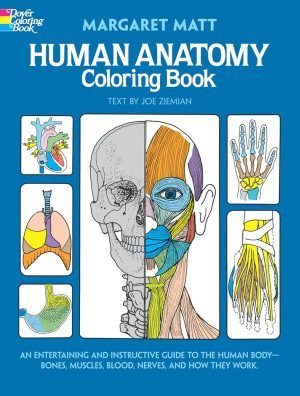 Human Anatomy Coloring Book: an Entertaining and Instructive Guide to the Human Body – Bones, Muscles, Blood, Nerves and How They Work (Coloring Books)