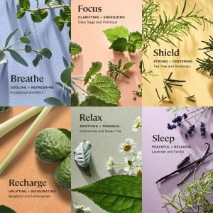 Sprig by Kohler Bath Bomb Gift Set, Hypoallergenic, Made with Natural Botanicals & Premium Skincare Ingredients (Shea Butter, Coconut Oil, & Kaolin Clay) – 6 Pack