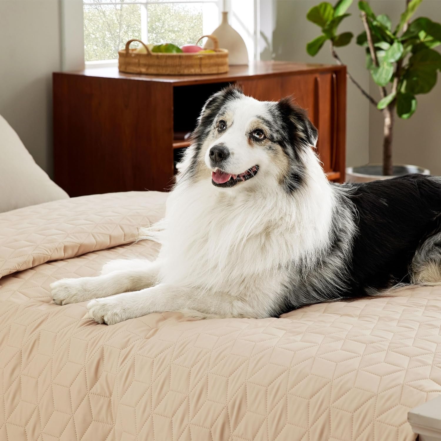 Bedsure 100% Waterproof Couch Cover for Dogs Washable - Non Slip Waterproof Dog Blanket for Bed, Lightweight Furniture Protector Durable for Pet Cat Puppy with Non-Slip Bottom, Beige, 82x120IN - Image 8