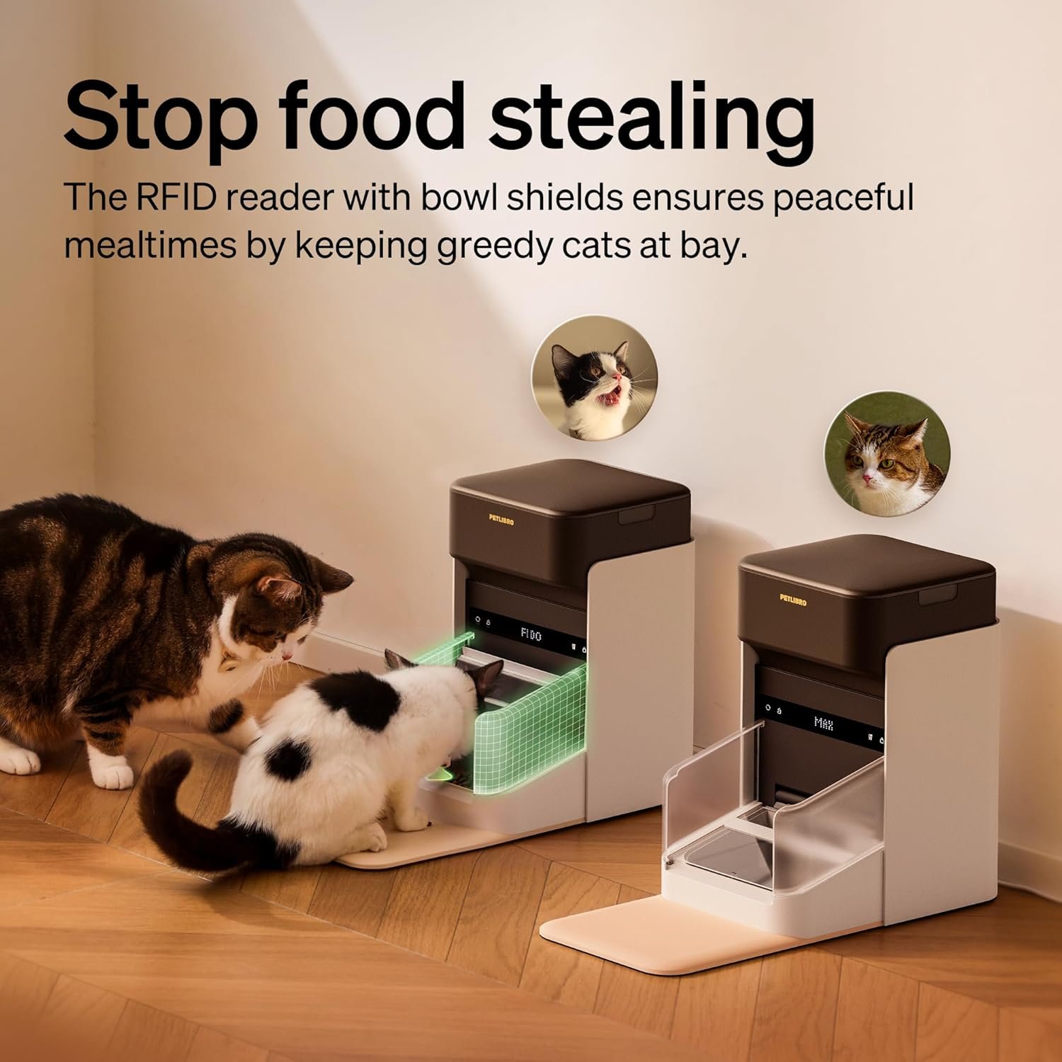 PETLIBRO RFID Automatic Cat Feeder, Collar Tag-Activated Personalized Meals, 5G&2.4G Wi-Fi Programmable Cat Food Dispenser with Cats Recognition & Diet Tracking for Multi-Pet Homes and Different Diets - Image 4