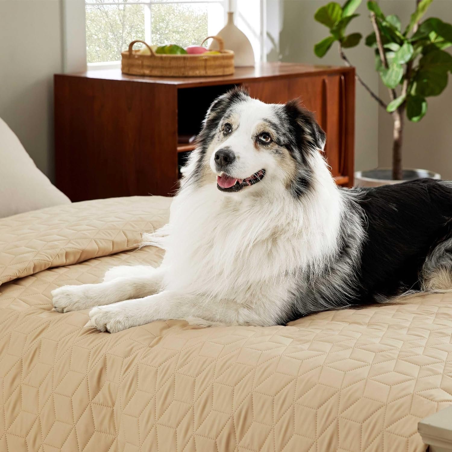 Bedsure 100% Waterproof Couch Cover for Dogs Washable - Non Slip Waterproof Dog Blanket for Bed, Lightweight Furniture Protector Durable for Pet Cat Puppy with Non-Slip Bottom, Beige, 82x120IN - Image 5