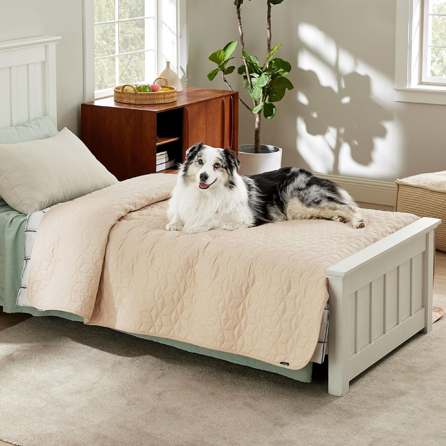 Bedsure 100% Waterproof Couch Cover for Dogs Washable - Non Slip Waterproof Dog Blanket for Bed, Lightweight Furniture Protector Durable for Pet Cat Puppy with Non-Slip Bottom, Beige, 82x120IN - Image 7