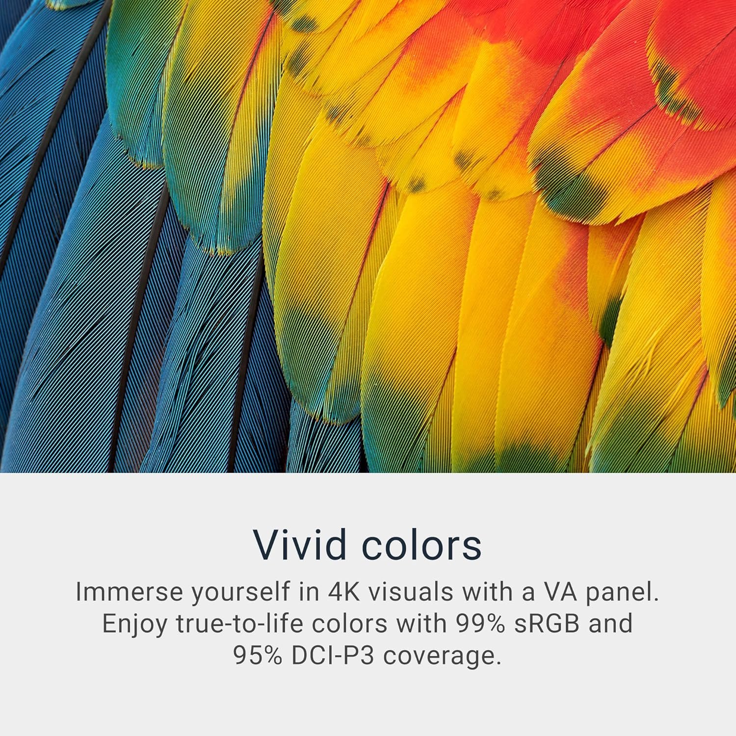 Dell 32 Plus 4K Monitor - S3225QS - 31.5-inch 4K (3840 x 2160) up to 120Hz 16:9 Display, VA Panel, AMD FreeSync Premium, 99% sRGB, 95% DCI-P3, 1500:1 Contrast Ratio, Comfortview Plus - Ash White - Image 3